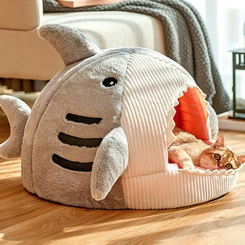 Shark Bed 🦈