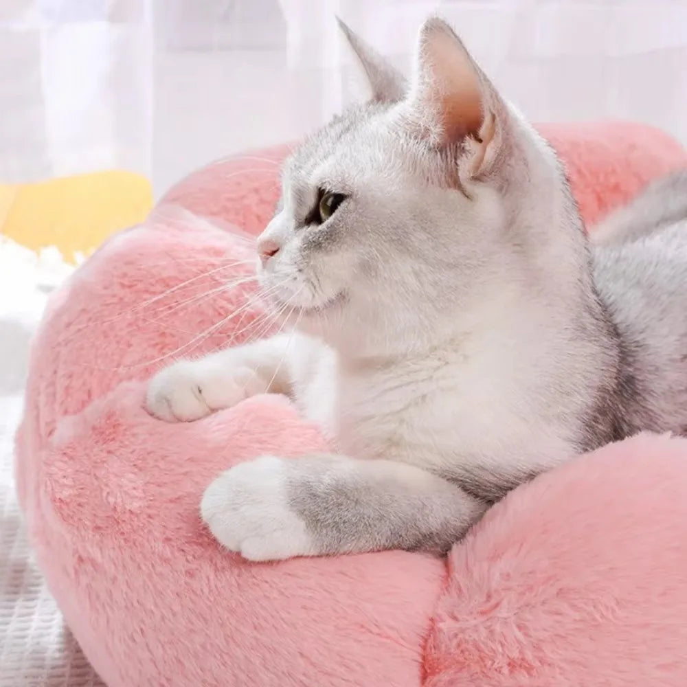 Donut Bed 🍩