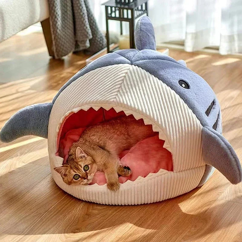 Shark Bed 🦈