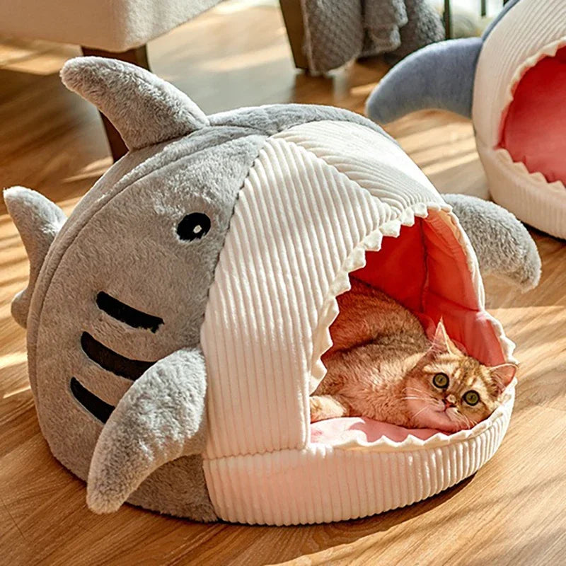 Shark Bed 🦈