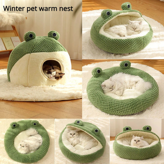 Frog House 🐸
