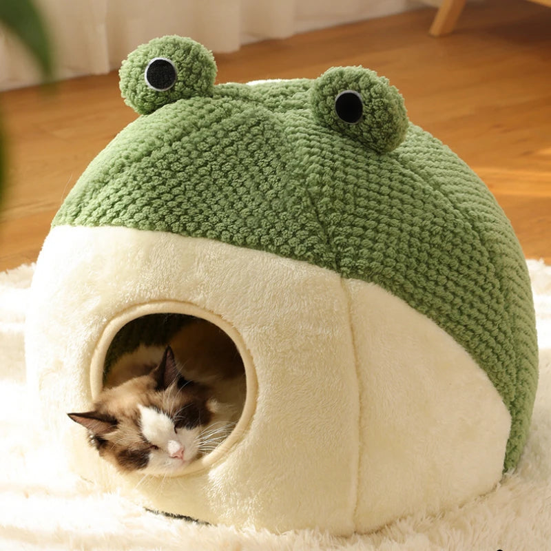 Frog House 🐸