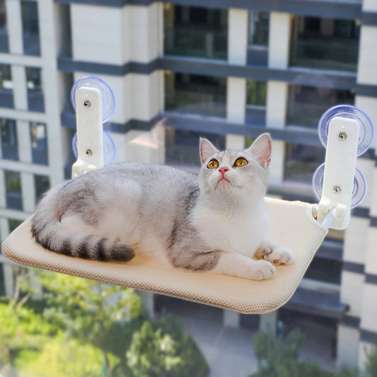 Plush Hammock 🐾