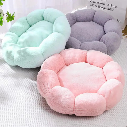 Donut Bed 🍩