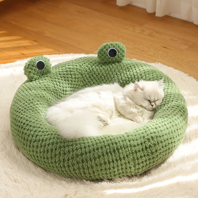 Frog House 🐸