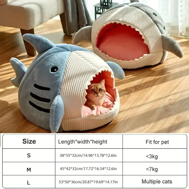 Shark Bed 🦈
