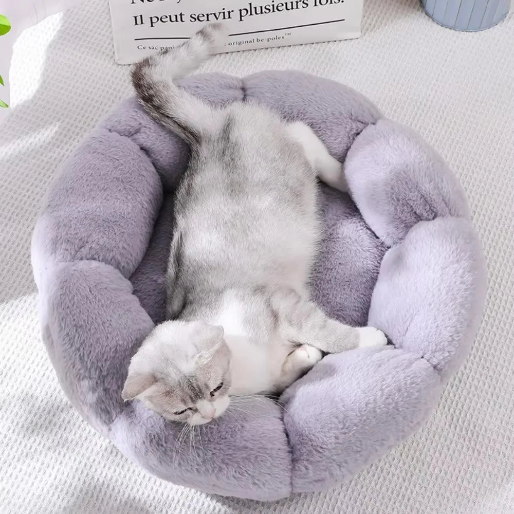Donut Bed 🍩
