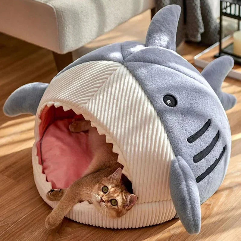 Shark Bed 🦈
