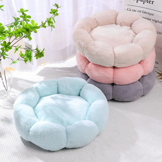 Donut Bed 🍩