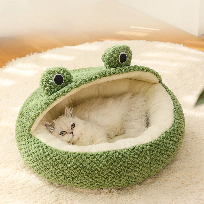Frog House 🐸