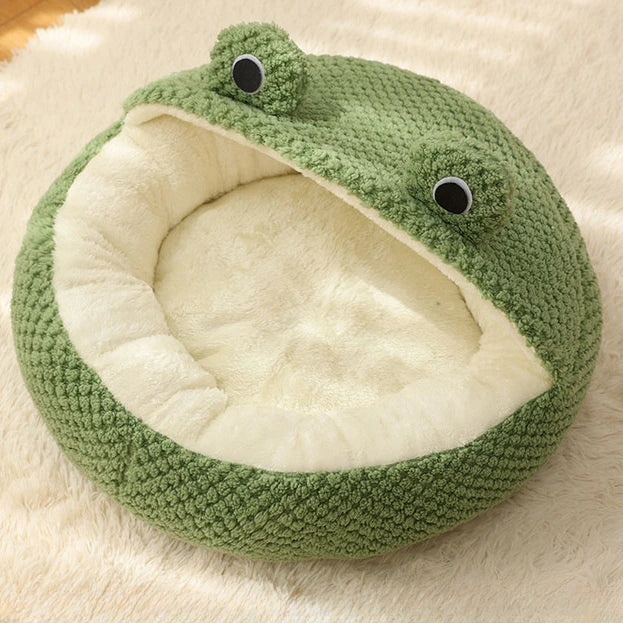 Frog House 🐸