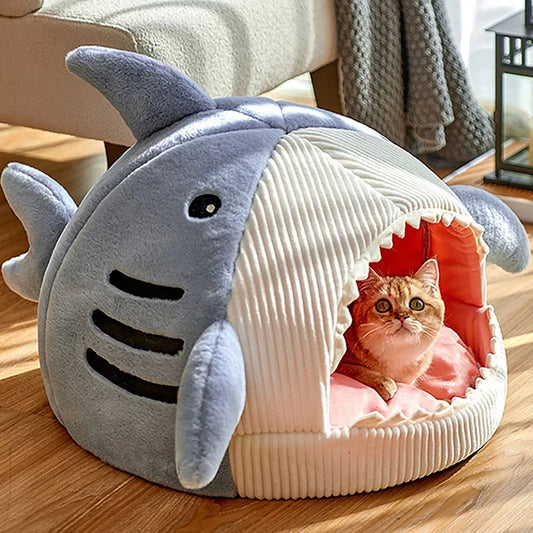 Shark Bed 🦈
